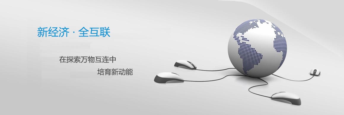 新经济，全互联